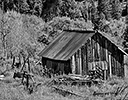 Old Wooden Shack near Telluride, CO