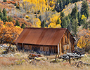 Old wooden shack with fall colors surrounding it near Telluride, Colorado