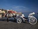Horse and Cart Old Harbor Chania Crete Greek Isles