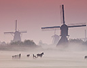 Windmills of Kinderdijk, Netherlands