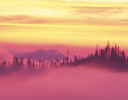 Sunset Fog Rising Glacier Point, Mt. Rainier Washington Cascades