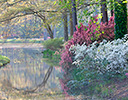 Springtime Calloway Gardens, Georgia