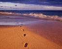 Foot Prints in the Sand Makena Beach, Maui Hawaii