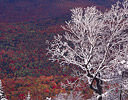 Above snow line Burke Mountain with Autumn Colors Below, Vermont