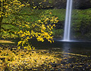 South Falls Silver Falls State Park Autumn colors, Oregon