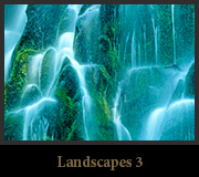 Landscapes 3