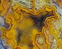 Yellow Crazy Lace Mexican Agate