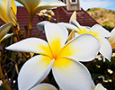 Kahakuloa Hawaiian Congregational Church