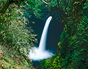 Metlako Falls Columbia River Gorge, Oregon